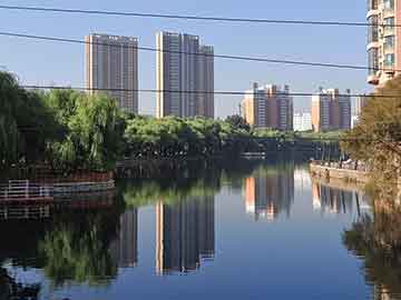 2025年新澳今晚资料和澳门管家婆100%精准,词语释义、专家解析解释与落实与警惕虚假宣传